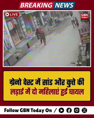 ग्रेटर नोएडा वेस्ट: सांड और कुत्ते की लड़ाई के बीच फंसी दो महिलाएं, गंभीर घायल
#GreaterNoidaWest #StrayCattle #Accident