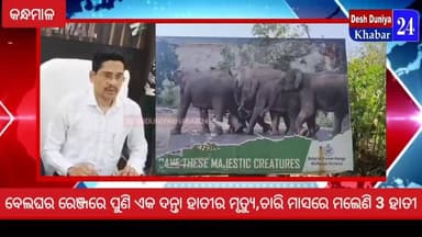 ବେଲଘର ରେଞ୍ଜରେ ପୁଣି ଏକ ଦନ୍ତା ହାତୀର ମୃତ୍ୟୁ,ଚାରି ମାସରେ ମଲେଣି 3 ହାତୀ
#Kandhamal
#ElephantDeath
#Deshduniyakhabar24