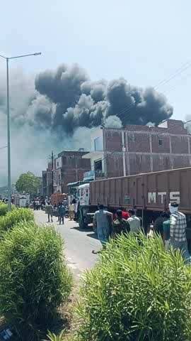 Dinara #bhishan Sag #jila Shivpuri