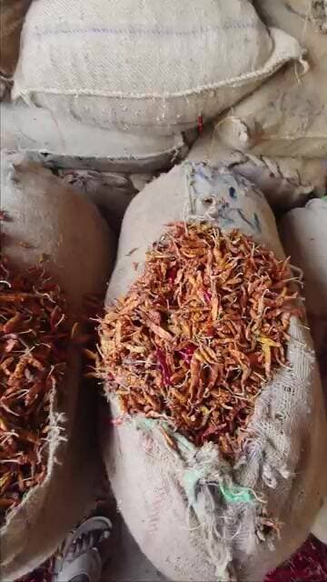 #ఏళ్ళో గోల్డ్ 200-170 #subscribe #chilli #trendingshorts