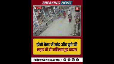 ग्रेटर नोएडा वेस्ट: सांड और कुत्ते की लड़ाई के बीच फंसी दो महिलाएं, गंभीर घायल #GreaterNoidaWest