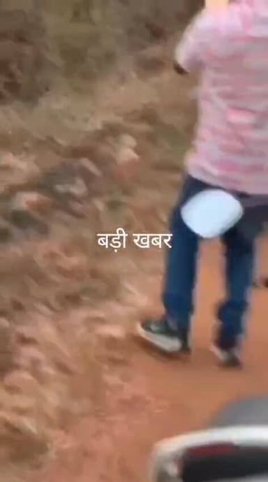 💥 बड़ी खबर💥
मौत से खिलवाड़! बांधवगढ़ में सड़क पार कर रहे बाघ के करीब पहुंचे पर्यटक, रोंगटे खड़े कर देगा यह वायरल वीडियो।...