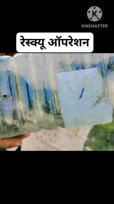 “4 दिन से घर में दहशत! सर्प मित्र ने किया मॉनिटर लिजर्ड का सफल रेस्क्यू”
#ShahnagarNews
#SugrahaVillage
#MonitorLizardRe...