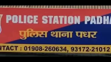 पधर: पधर के गांव रिडा में गेहूं के खेत से 1048 अवैध अफीम के पौधे बरामद