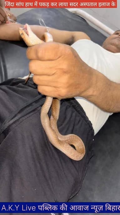 🔥⚡ सांप ने ड़सा तो जिंदा सांप को ही हाथ में पकड़ कर लाया सदर अस्पताल इलाज करवाने ⚡🔥 Public ki Awaz #publickiawazट्रैक्टर...