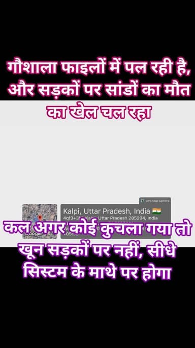 कालपी में सांड राज — सिस्टम फेल, सड़क पर मौत का खेल!
कालपी नगर पालिका परिषद की कान्हा गौशाला कागजों में स्वर्ग दिखा रह...