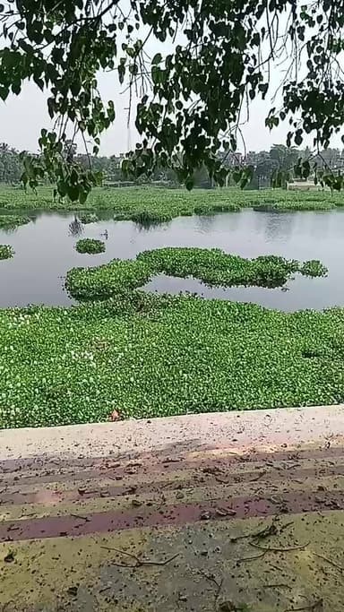 जिलाधिकारी खगड़िया, श्री नवीन कुमार द्वारा आज खगड़िया जिले के अंतर्गत कसरैया धार के पर्यटन विकास की संभावनाओं को ध्यान म...