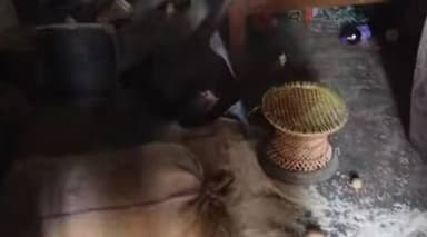 বক্সনগরে চাঞ্চল্য!
বিজেপি নেত্রীর বাড়িতে ভাঙচুর, উত্তপ্ত দয়ালপাড়া এলাকা
#Boxanagar #Tripura #BJP #BreakingNewsPH