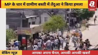 #MP के धार में ग्रामीण बस्ती में #तेंदुआ की #दहशत, चार लोगों पर किया #हमला, इलाज जारी,
#Dhar,#leopard, #injured, #attack...