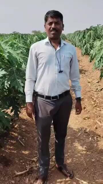 ಚಳ್ಳಕೆರೆ ತಾಲೂಕಿನ ಹನುಮಂತನಹಳ್ಳಿ ಗ್ರಾಮದ ರೈತ ಮೋದಿಕೇರ್ ಔಷಧಿ ಬಳಕೆ ಅಧಿಕ ಇಳುವರಿ