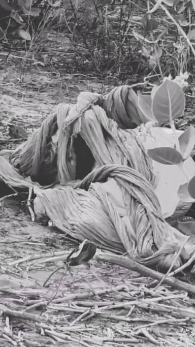 शेरगढ़ विधानसभा के नाथड़ाऊ गांव में 40 साल पुरानी रं*जिश के चलते म*र्डर..
#jodhpur
#Shergadh
Rajasthan Police
Jodhpu...