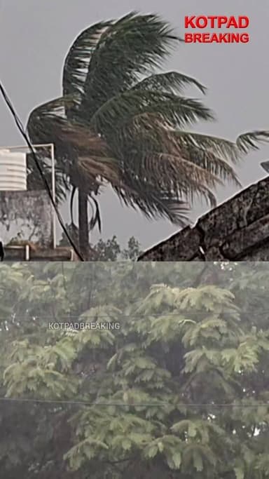 କୋଟପାଡ଼ : ଦିନରେ ଅସହ୍ୟ ଗରମ ପରେ ସନ୍ଧ୍ୟାରେ ପ୍ରବଳ ବର୍ଷିଲା #Kotpadbreakingnews #kotpad #rain #heavyrain #kotpadrain #summervi...