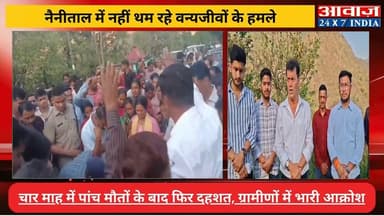 #नैनीताल में नहीं थम रहे वन्यजीवों के ह#मलेः चारा लेने गई #महिला को बनाया नि#वाला! चार माह में पांच मौ#तों के बाद फिर दह...