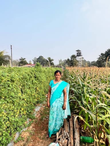 राष्ट्रीय ग्रामीण आजीविका मिशन ‘बिहान’ जिले में महिलाओं के सशक्तिकरण की मिसाल बन रहा है। फरसगांव विकासखंड के ग्राम गट्टी...