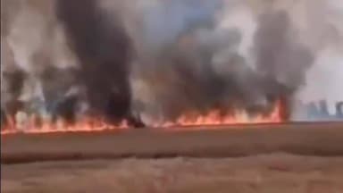 बिक्रम: बिक्रम प्रखंड के बधार में शॉर्ट सर्किट से आग, 300 बीघा गेहूं की फसल जलकर राख