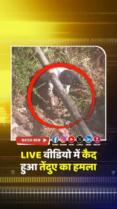 LIVE वीडियो में कैद तेंदुए का हमला; बस्ती में घुसकर लोगों को किया घायल, इलाके में हाई अलर्ट...
.
.
.
#breakingnewswala #...