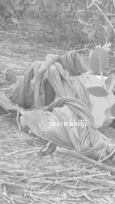 चामू थाना क्षेत्र के नाथडाउ गांव में एक बुजुर्ग की ह**त्या, पुरानी रंजिश के चलते लिया बदला
#jodhpur #chamu #rajas#phalo...