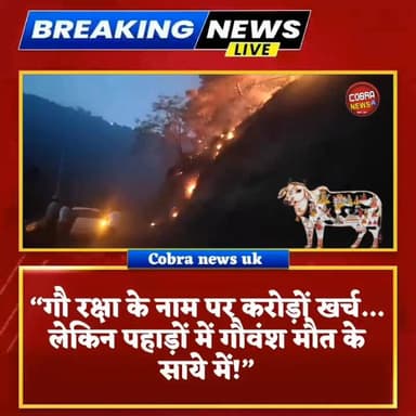 #चकराता :-“गौ रक्षा के नाम पर करोड़ों खर्च… लेकिन पहाड़ों में गौवंश मौत के साये में!”
#चकराता के पहाड़ी इलाकों की तस्वी...