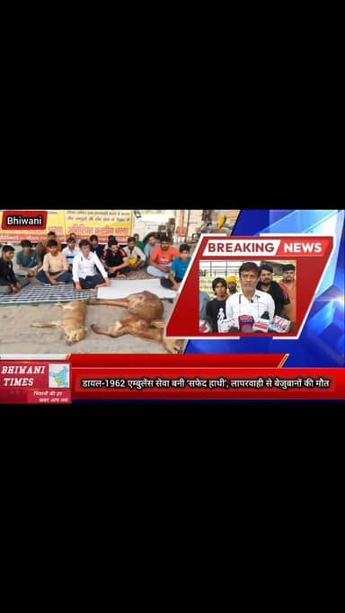 डायल-1962 एम्बुलेंस सेवा बनी ‘सफेद हाथी’, लापरवाही से बेजुबानों की मौत