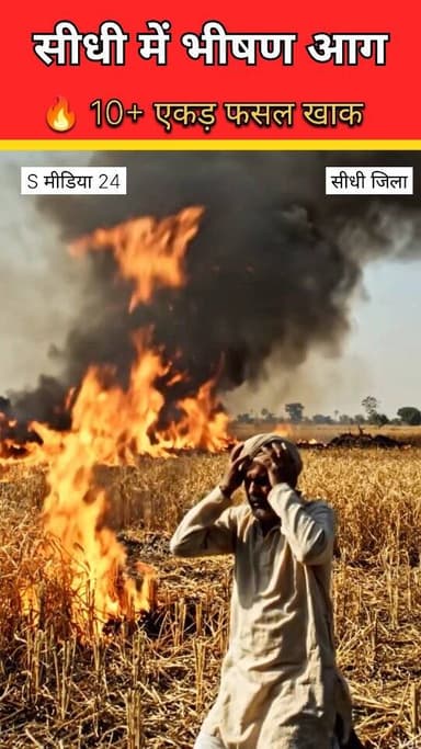 सीधी में भीषण आग 🚨
किसान अरुण मिश्रा की 10+ एकड़ फसल जलकर खाक, बिजली विभाग पर उठे सवाल
Description
सीधी जिले के माधुर...