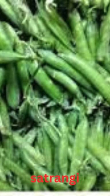 आज 22 अप्रैल 2026 को भुंतर सब्जी मंडी में सब्ज़ियां क्या भाव बिकी, देखें वीडियो और हमारे चैनल को फॉलो करें....
#BhuntarMa...