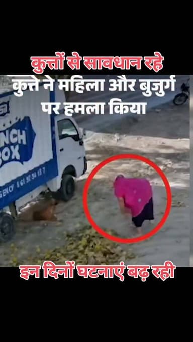 पाली में एक कुत्ते ने एक ही कॉलोनी में तीन लोगों पर हमला कर दिया। इस दौरान कुत्ते ने पहले घर के बाहर झाडू लगा रही बुजुर्...