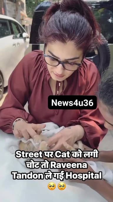 Street पर Cat को लगी चोट तो Raveena Tandon ले गई Hospital
#raveenatandon
#Celebstyle
#viraltrends
#trendinreels
#re...