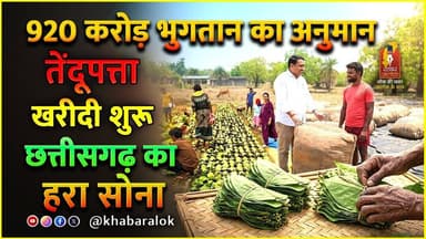 छत्तीसगढ़ में तेंदूपत्ता खरीदी शुरू |13 लाख परिवारों को रोजगार सहारा | ₹920 Crore भुगतान अनुमान