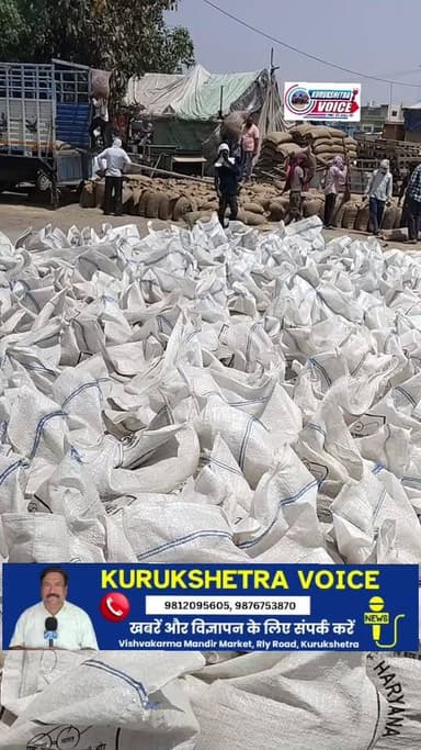कुरुक्षेत्र अनाज मंडी में गेहूं का सीजन अंतिम पड़ाव पर, अब केवल उत्थान का इंतजार #kurukshetravoice #video