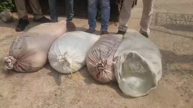 ବାଲେଶ୍ବର ସଦର: ନୀଳଗିରି କାହାଳିଆ ଅଞ୍ଚଳରେ ଜିଲ୍ଲା ଅବକାରୀ ମୋବାଇଲ ୟୁନିଟର ଚଢ଼ାଉ, ୨ଶହ ଲିଟର ଦେଶୀ ମଦ ଜବତ,ଦୁଇ ଗିରଫ