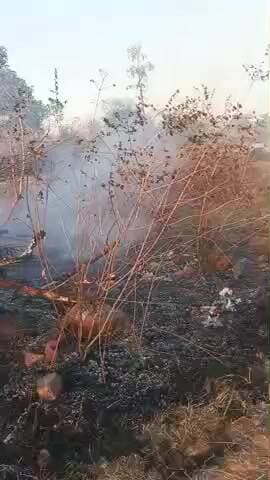 जिला टीकमगढ़ थानामोहनगढ़ के पास के गांव पंचमपुर में लगी विभीषण आग#