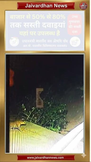 राजसमंद के राजनगर में पैंथर का मूवमेंट, दहशत का माहौल #rajsamandnews #panther #leopard #wildlife #jaivardhannews
#rajs...