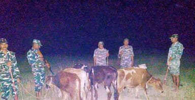 किशनगंज 12वीं वाहिनी सशस्त्र सीमा बल पैकटोला SSB चौकी के रात्रि पेट्रोलींग पाटी के जवानों दिनांक 22-04-2026 को रात्रि मे...