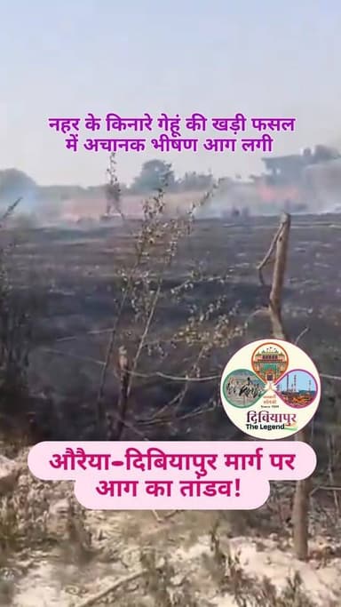 बड़ी खबर: औरैया–दिबियापुर मार्ग पर आग का तांडव! 🔥🌾
आज औरैया-दिबियापुर मार्ग पर नहर के किनारे गेहूं की खड़ी फसल में अचान...