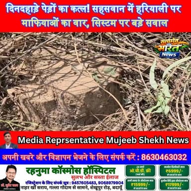 दिनदहाड़े पेड़ों का कत्ल! सहसवान में हरियाली पर माफियाओं का वार, सिस्टम पर बड़े सवाल | #BadaunNews #Sahaswan #TreeCuttin...