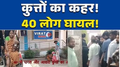 सतना में पागल कुत्ते का आतंक, 4 घंटे में 40 लोग घायल #सतना_न्यूज
#मध्यप्रदेश_न्यूज
#डॉग_अटैक
#कुत्तों_का_आतंक
#BreakingN...