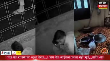 राजसमंद - मकान की दीवार कूदकर घुसे चोर,सिलेंडर और टेबल फैन किया चोरी
#rajsamand #rajsamandnews #rajsamandpolice