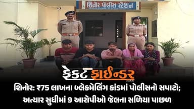 શિનોર: ₹75 લાખના બ્લેકમેલિંગ કાંડમાં પોલીસનો સપાટો; અત્યાર સુધીમાં 9 આરોપીઓ જેલના સળિયા પાછળ
https://thefactfinder.in/...