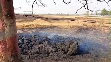 नासरीगंज: अगलगी की घटना में चार घर और लाखों की संपत्ति जलकर हुई राख