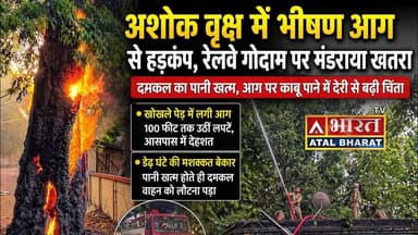 #Sahibganj: अशोक वृक्ष में भीषण आग से हड़कंप, रेलवे गोदाम पर मंडराया खतरा....दमकल का पानी खत्म..