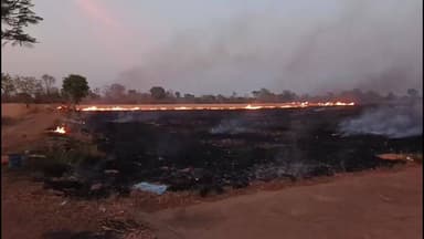 पन्ना: अज्ञात कारणों से खेत में लगी भीषण आग, किसान की साल भर की मेहनत और पंप जलकर खाक