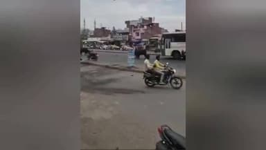 मिश्रिख: आवारा मवेशियों का आतंक, राहगीरों के लिए सड़क पर निकलना हुआ मुश्किल, वीडियो सोशल मीडिया पर हुआ वायरल