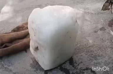 हरिद्वार: शिवालिक नगर में बर्फ की सिल्ली में फंसे सांप का वीडियो हुआ वायरल, वन विभाग कर रहा है जांच