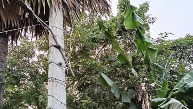 लालगंज: लालगंज में बिजली विभाग की लापरवाही, पोलों पर झूल रहा खुला तार, कभी भी घट सकती है बड़ी घटना