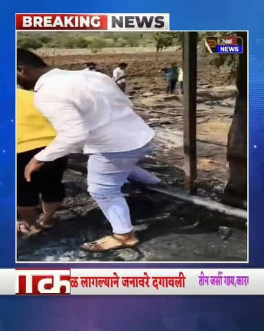 जानवळ येथिल शेतकरी ज्ञानोबा भोजने यांच्या शेतातील गोठ्याला जाळ लागून जनावरे दगावली