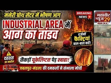 यूकेलिप्टस प्लांटेशन में आग से घंटों मची अफरा-तफरी! 🔥#Maneri #FireSafety #nanfollowers #engagement
