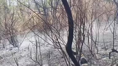 भदेसर: चेनाखेड़ा में शॉर्ट सर्किट से भड़की भीषण आग, किसान की बैलगाड़ी, भूसा और खाद जलकर हुए राख, भारी नुकसान