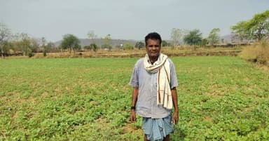 आत्मनिर्भर दलहन मिशन योजना अंतर्गत छुईखदान विकासखंड क्षेत्र के ग्राम ठाकुरटोला में मूंग फसल का प्रदर्शन किया गया। कृषि व...