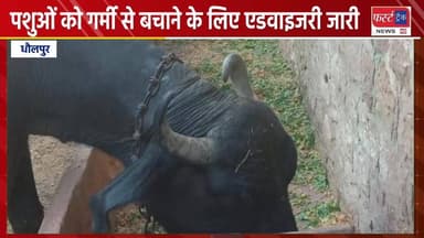 पशुओं को गर्मी से बचाने के लिए एडवाइजरी जारी।
#DholpurNews #RajasthanNews #BreakingNews #धौलपुर #news #chambal #पशु