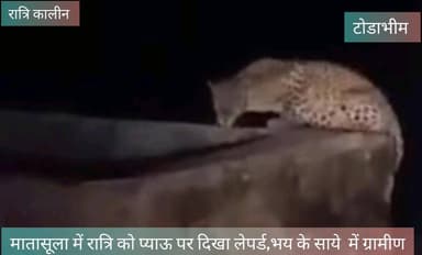 करौली:टोडाभीम के मातासूला में लेपर्ड से हड़कंप #57newskarauli